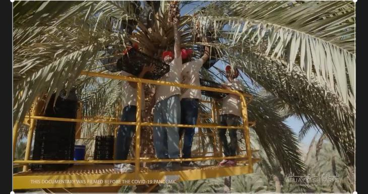 1675932961271517.png 微信图片_202302091649285.png