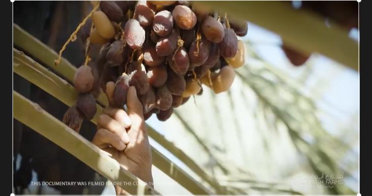 1675932974573187.png 微信图片_202302091649286.png