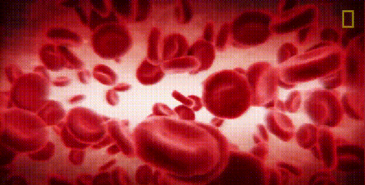 1680073762159739.png c6b43cf79b3d447bc7e45b49a8767a4.png