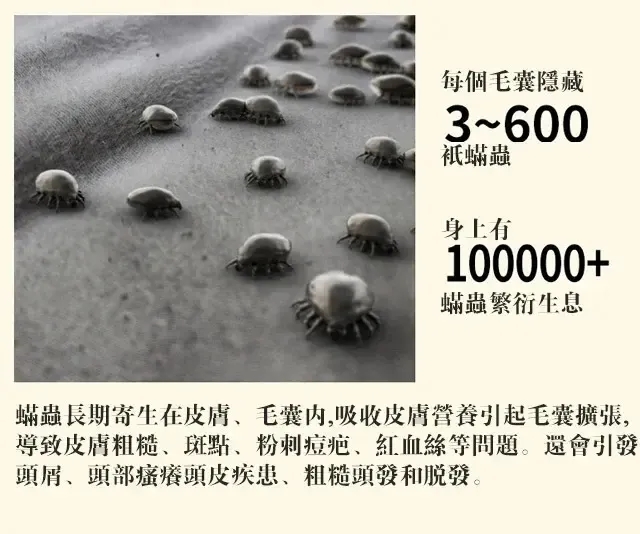 1743106557652100.jpg 59e7b512a65c1a2aa0336f9e7e0e7a2e.jpg